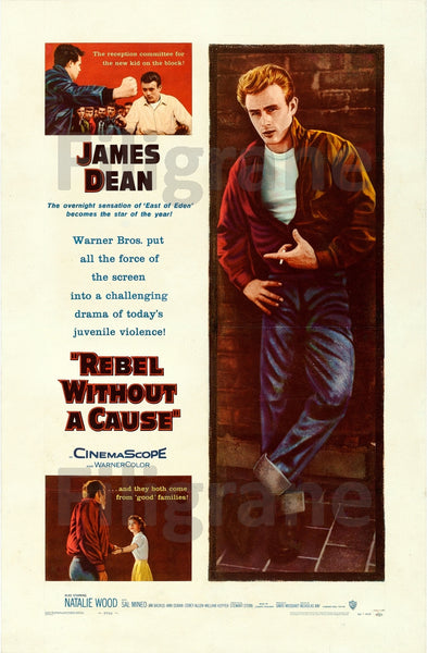 REBEL WITHOUT a CAUSE FILM Rkhb POSTER/REPRODUCTION  d1 AFFICHE VINTAGE